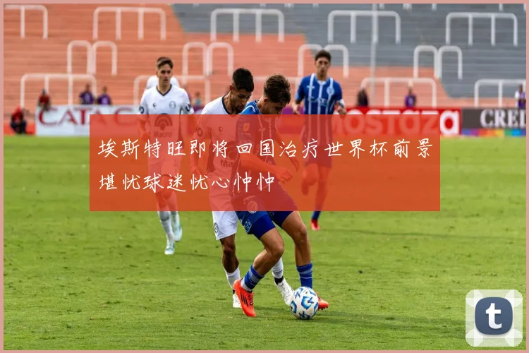 埃斯特旺即将回国治疗世界杯前景堪忧球迷忧心忡忡